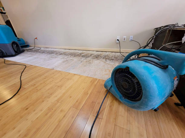 Professional Water Damage Repair technician working in Indianola, PA